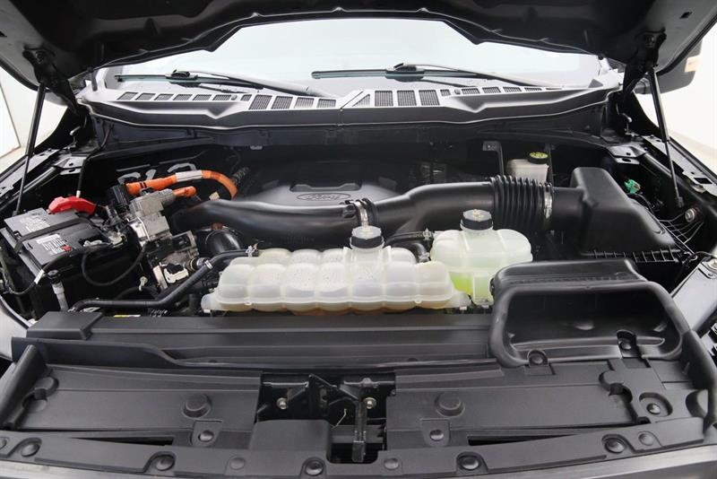 ford F-150 2022 - 14