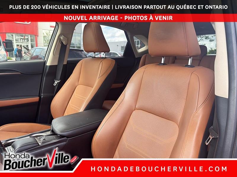 lexus NX 2019 - 25