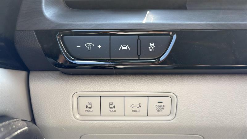 kia Carnival 2024 - 14