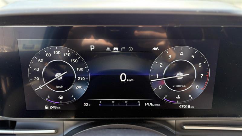 kia Carnival 2024 - 19
