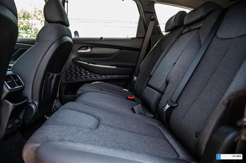 hyundai Santa Fe 2020 - 29