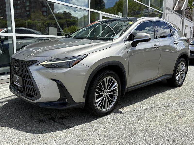 lexus NX 2022