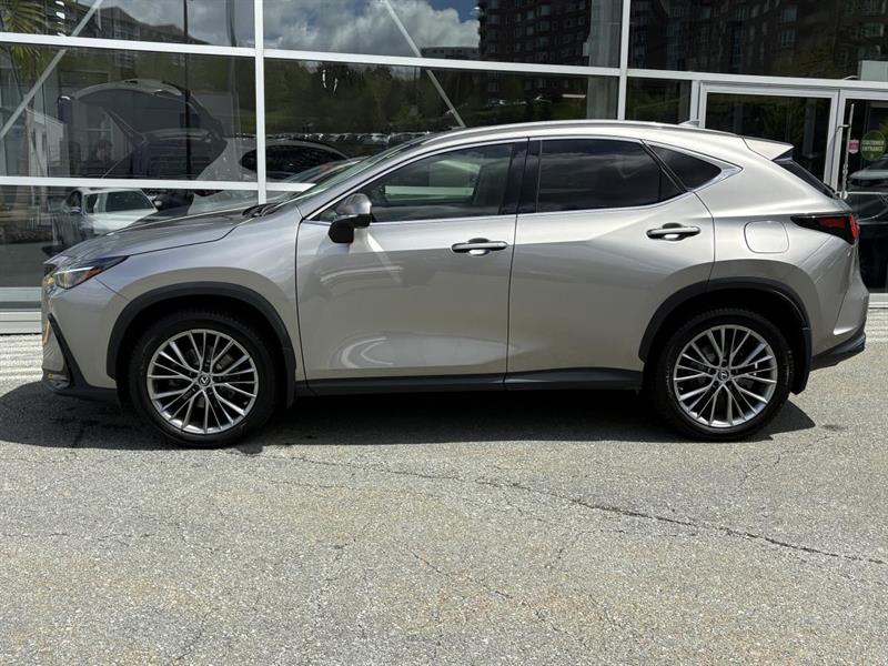 lexus NX 2022 - 2