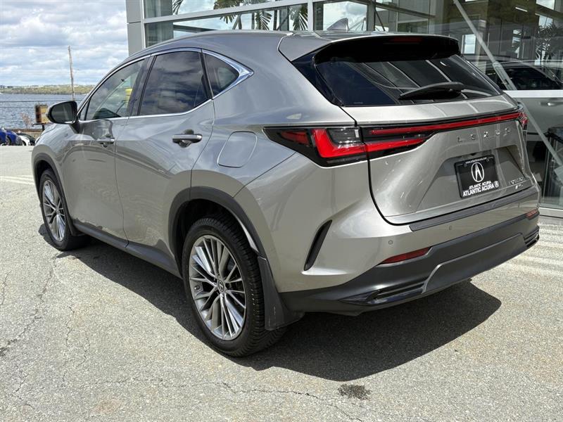 lexus NX 2022 - 3