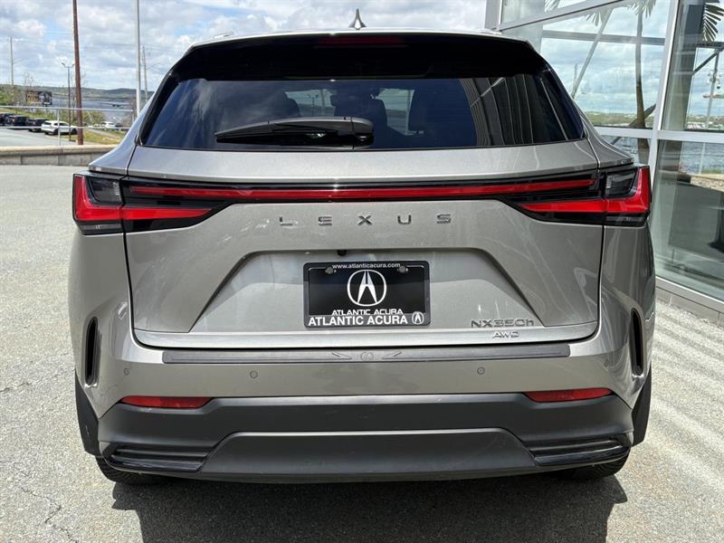 lexus NX 2022 - 4