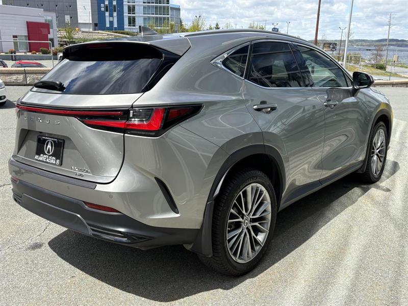 lexus NX 2022 - 5