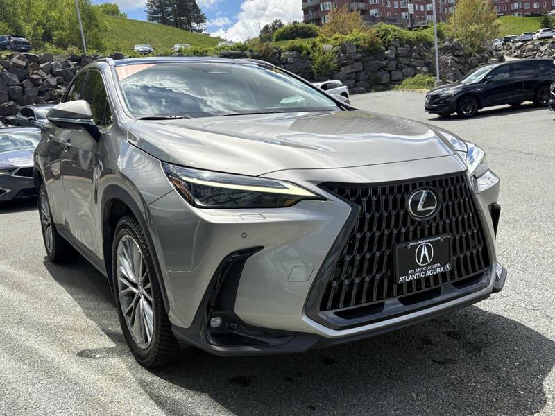 lexus NX 2022 - 6