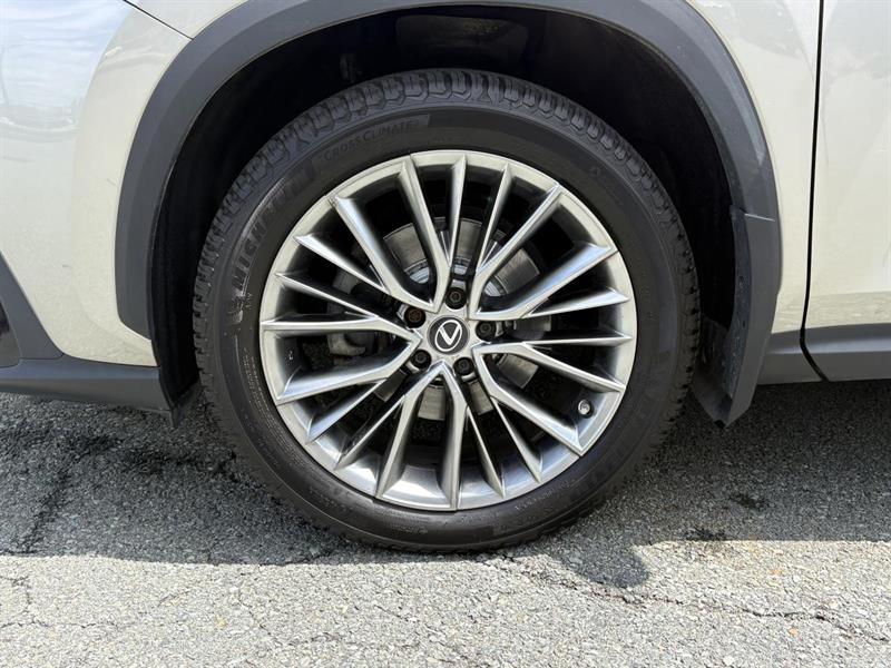 lexus NX 2022 - 8