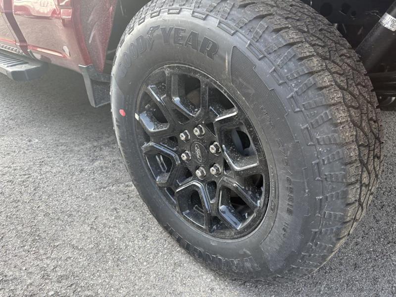 ford F-150 Hybrid 2026 - 6