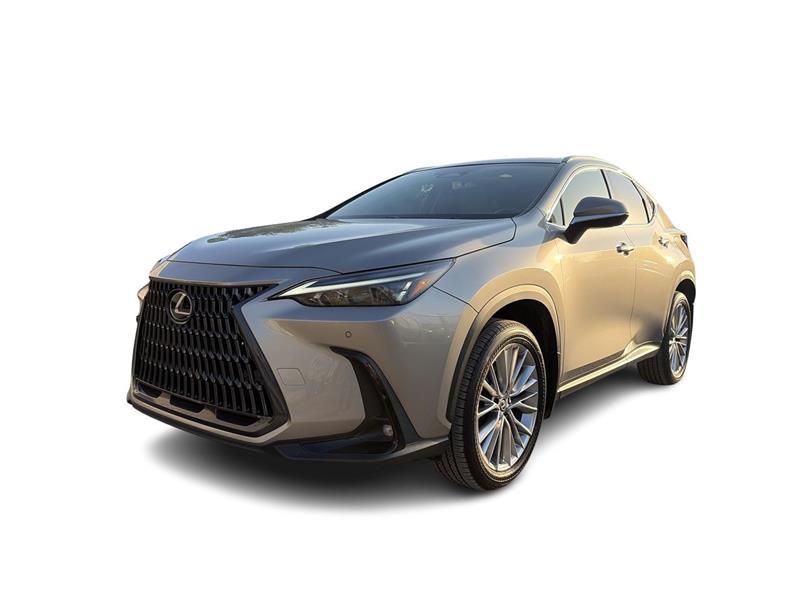 lexus NX 2023
