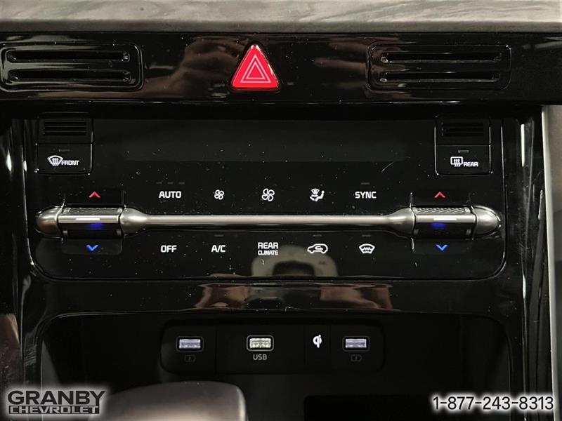 kia Carnival 2024 - 18