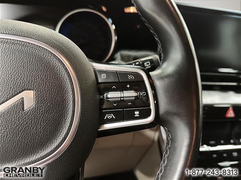 kia Carnival 2024 - 22