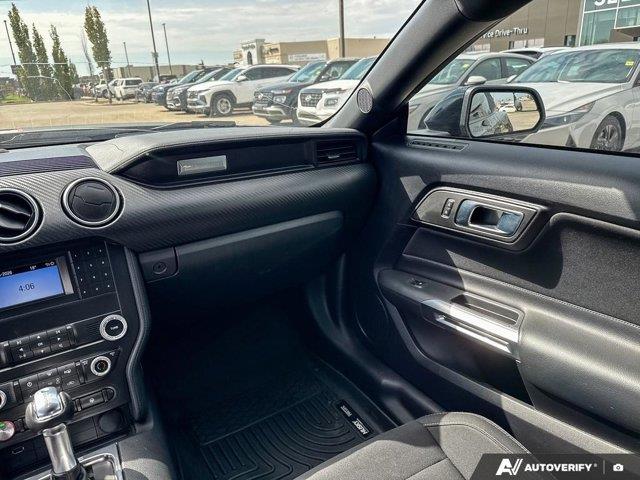 ford Mustang 2019 - 11