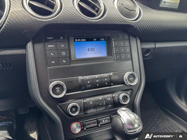 ford Mustang 2019 - 16
