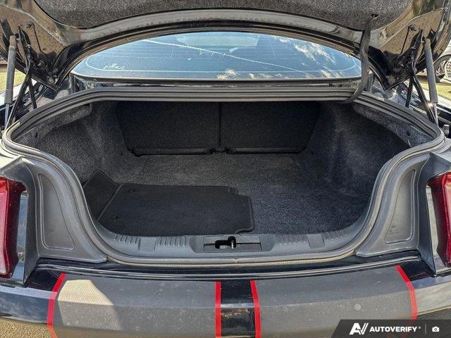 ford Mustang 2019 - 19