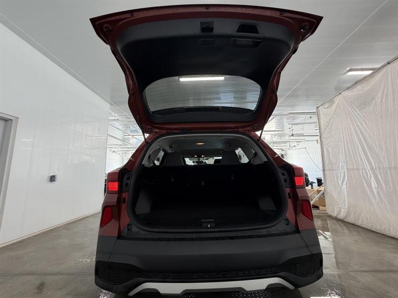 kia Seltos 2021 - 6