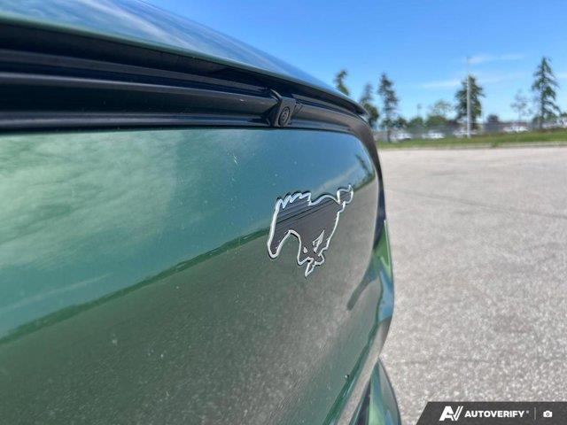 ford Mustang Mach-E 2024 - 12
