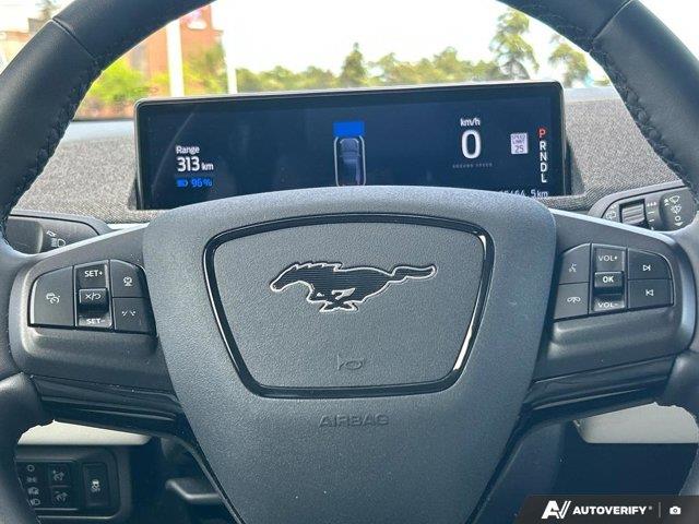 ford Mustang Mach-E 2024 - 19