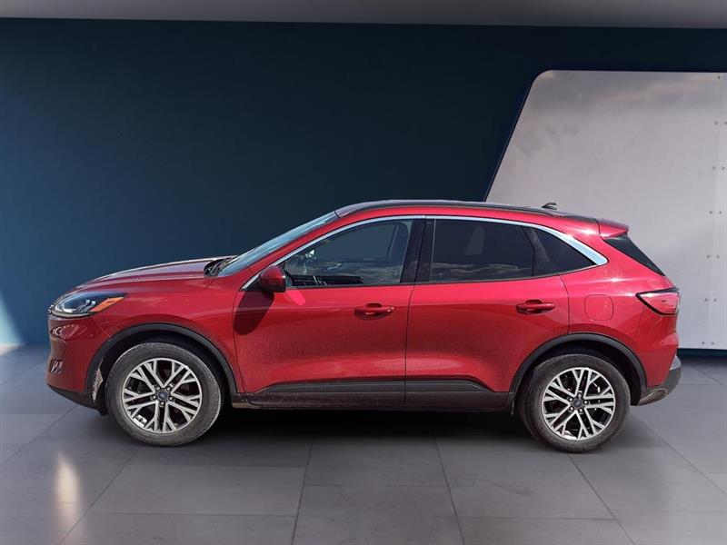 ford Escape 2020 - 2