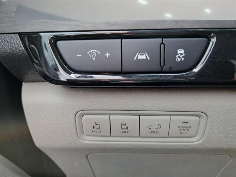 kia Carnival 2023 - 17