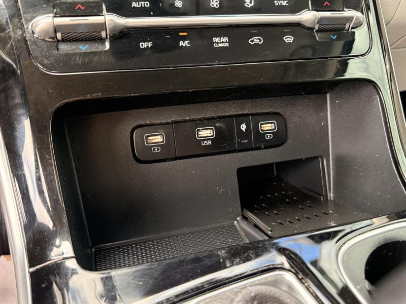 kia Carnival 2022 - 14