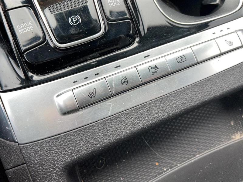 kia Carnival 2022 - 16