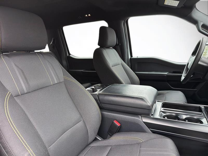 ford F-150 2025 - 10
