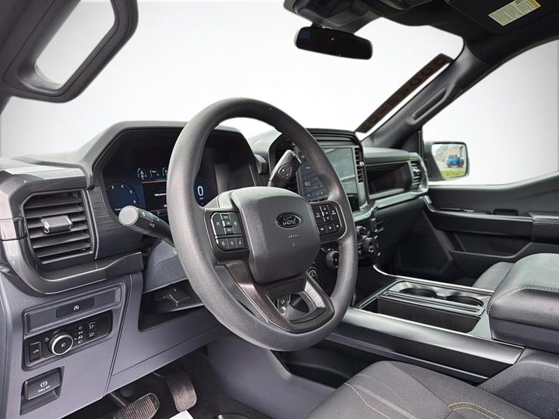 ford F-150 2025 - 11