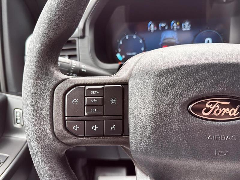 ford F-150 2025 - 14