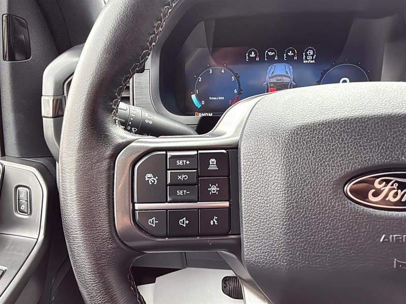 ford F-150 2024 - 15