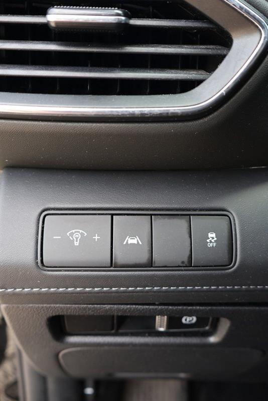 hyundai Santa Fe 2023 - 18