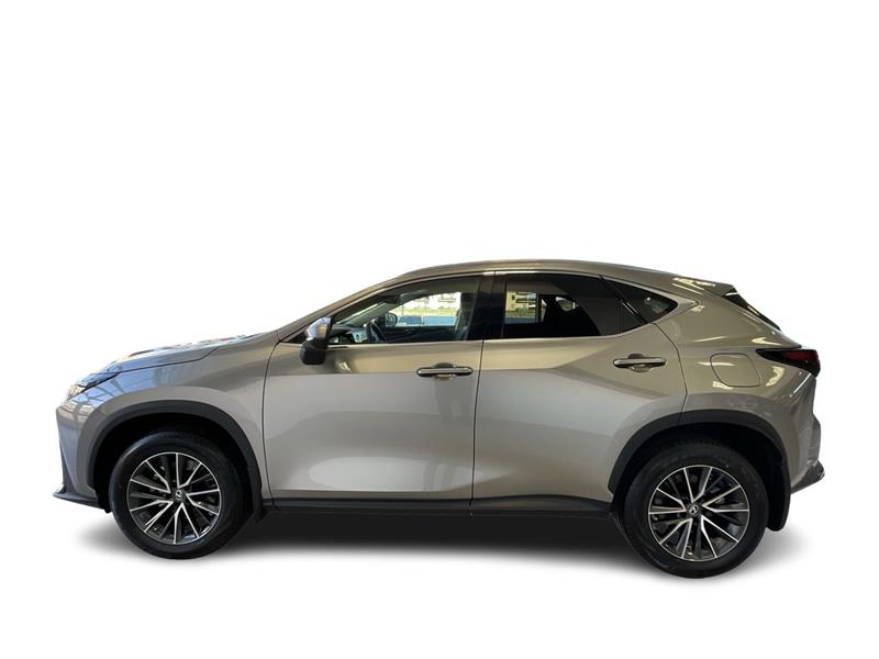 lexus NX 2023 - 4