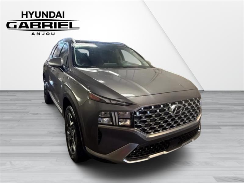 hyundai Santa Fe Hybrid 2022 - 3