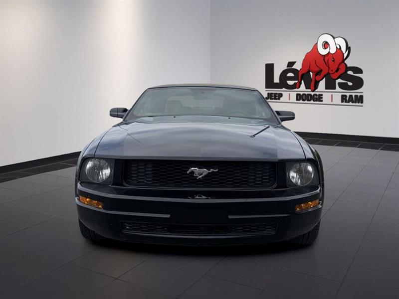 ford Mustang 2005 - 3