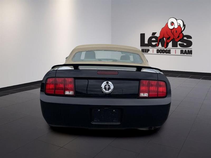 ford Mustang 2005 - 10