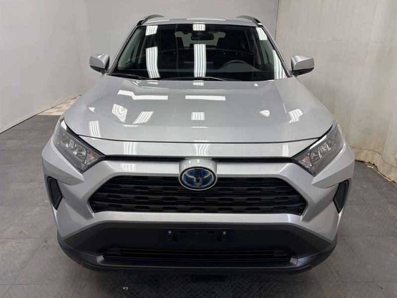 toyota RAV4 2019 - 17