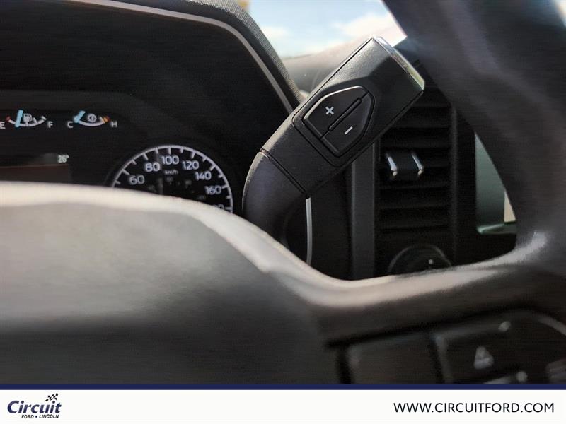 ford F-150 2022 - 14