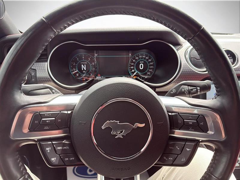 ford Mustang 2019 - 14