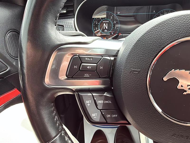 ford Mustang 2019 - 15