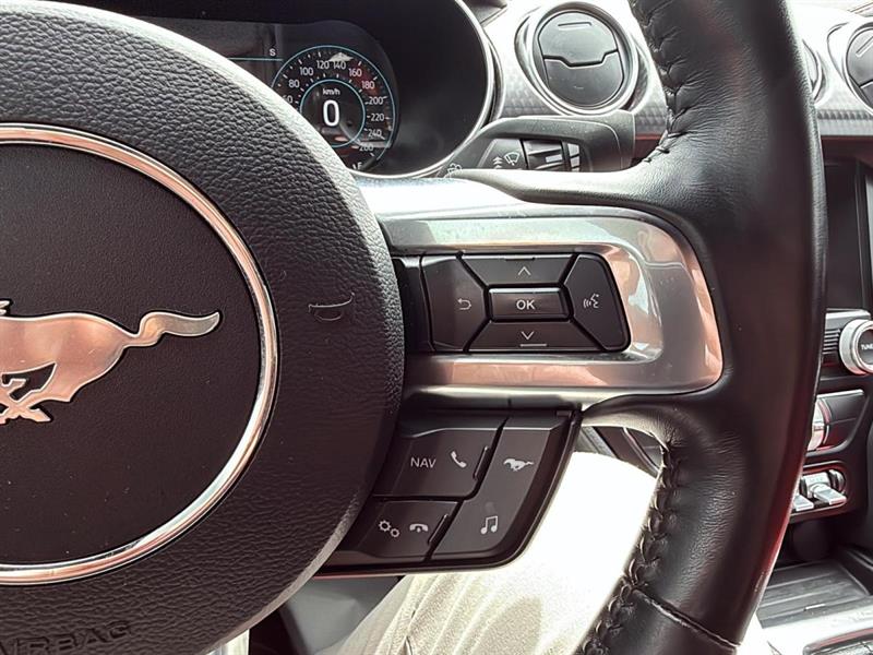 ford Mustang 2019 - 16