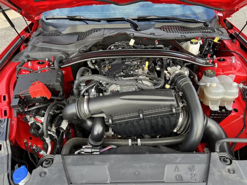 ford Mustang 2024 - 25