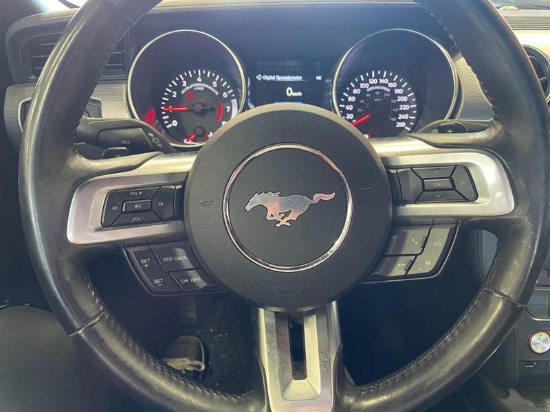 ford Mustang 2018 - 14