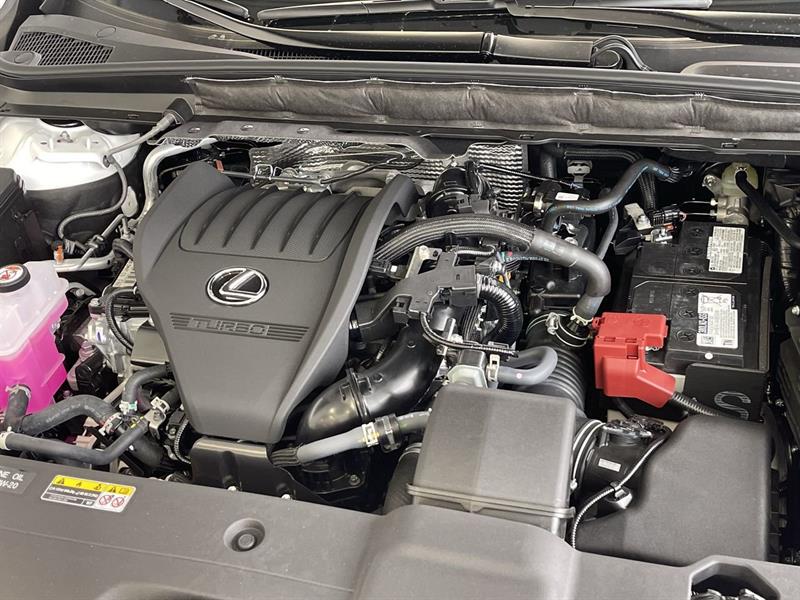 lexus RX 350 2023 - 30