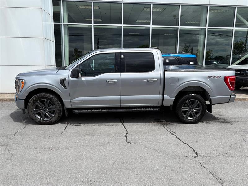 ford F-150 2023 - 5