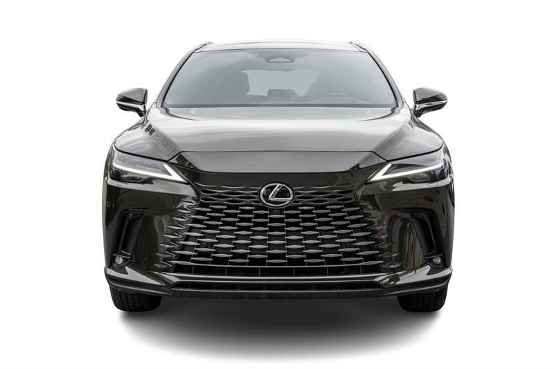 2025 Lexus RX - Image 2