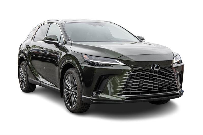 2025 Lexus RX - Image 4