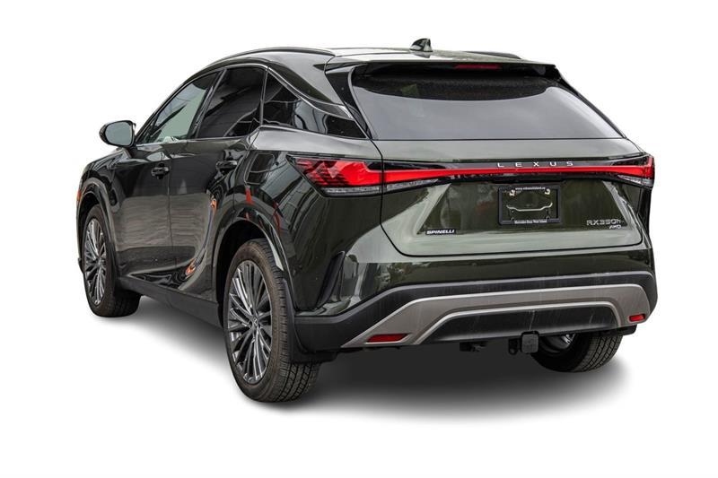 2025 Lexus RX - Image 10