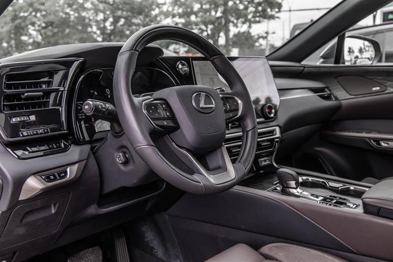 2025 Lexus RX - Image 20