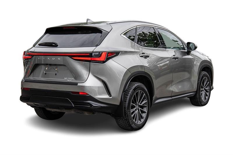 2023 Lexus NX - Image 6
