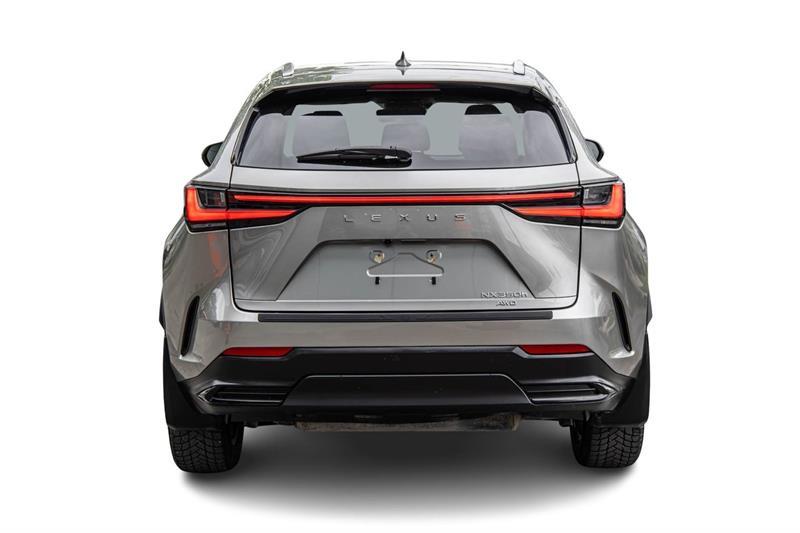 2023 Lexus NX - Image 8